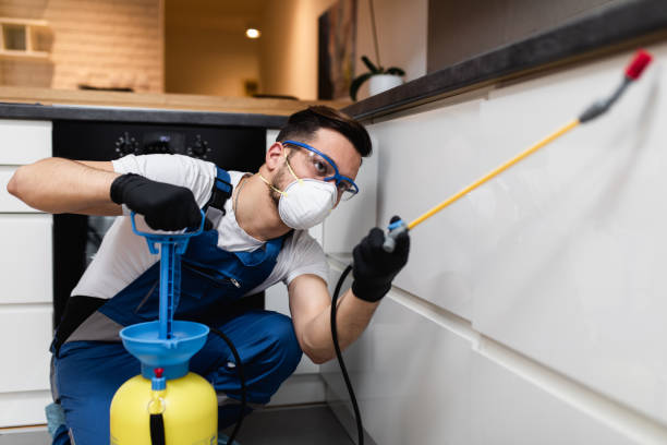 Best Residential Pest Control  in Eureka Mill, SC