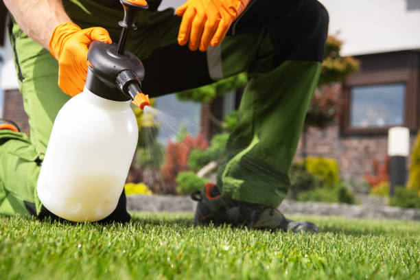 Best Best Pest Control Companies  in Eureka Mill, SC