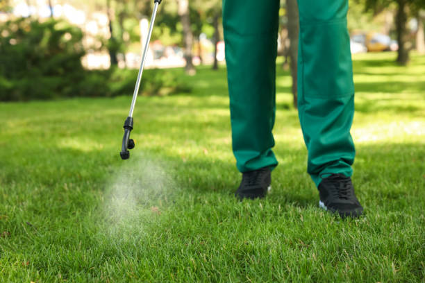 Best Best Pest Control Companies  in Eureka Mill, SC