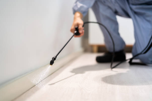 Best Pest Prevention Services  in Eureka Mill, SC