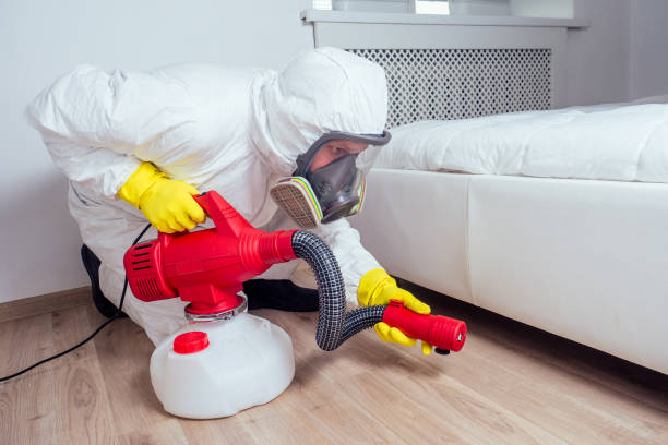 Best Pest Control for Homes  in Eureka Mill, SC