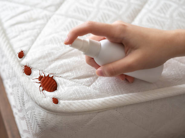 Trusted Eureka Mill, SC Pest Control Experts